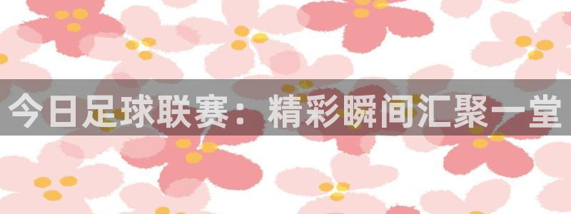 今日足球联赛：精彩瞬间汇聚一堂