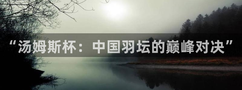 “汤姆斯杯：中国羽坛的巅峰对决”