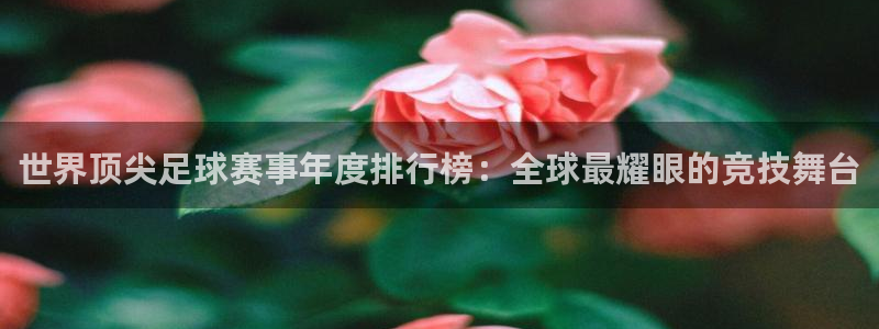 世界顶尖足球赛事年度排行榜：全球最耀