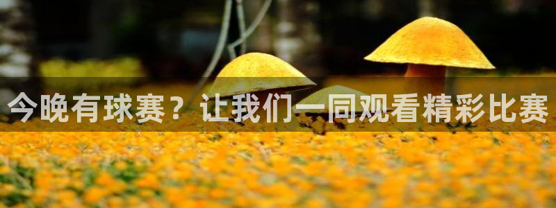 今晚有球赛？让我们一同观看精彩比赛
