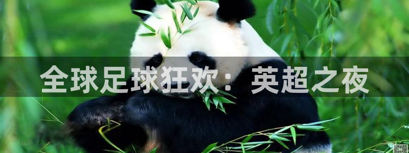 全球足球狂欢：英超之夜