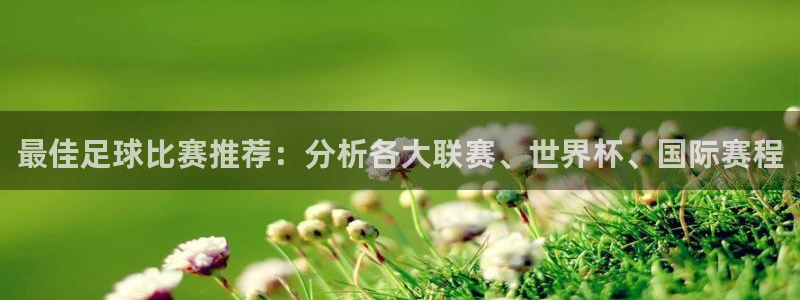 最佳足球比赛推荐：分析各大联赛、世界杯、国际赛程