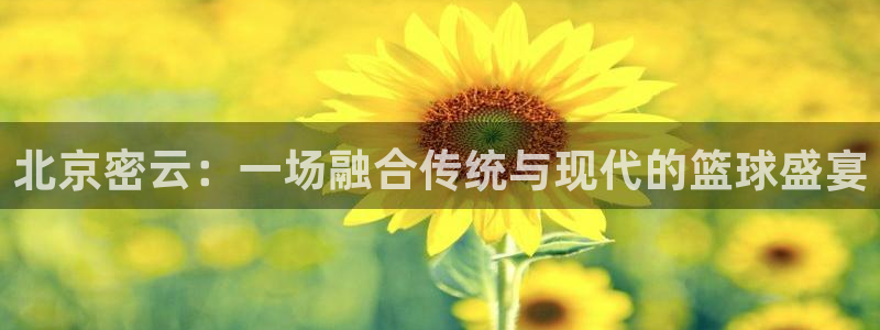 北京密云：一场融合传统与现代的篮球盛宴