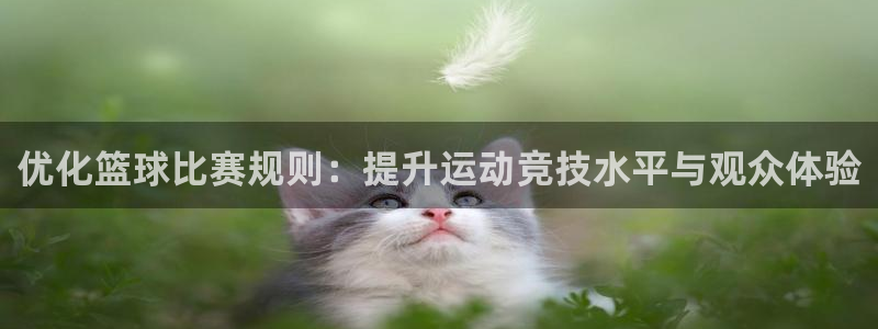 优化篮球比赛规则：提升运动竞技水平与观众体验