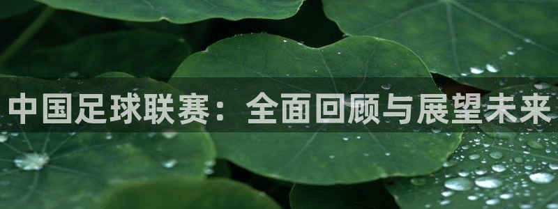  中国足球联赛：全面回顾与展望未来