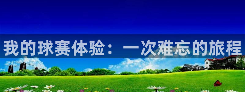  天空体育评选历史最佳：我的球赛体验：一次难忘的旅程