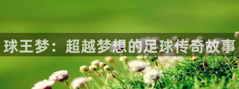 星空体育综合：球王梦：超越梦想的足球传奇故事