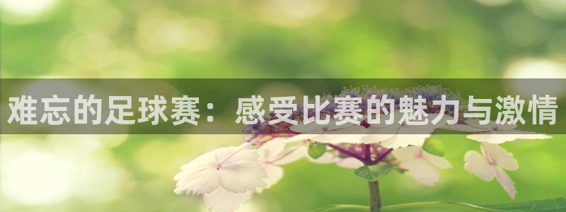 天空体育足球评论员：难忘的足球赛：感受比赛的魅力与激情
